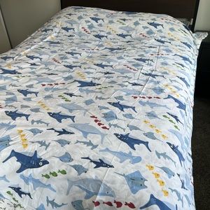 Pottery Barn Kids Shark Ocean Fish Sheet Set and Blue Quilted Sham